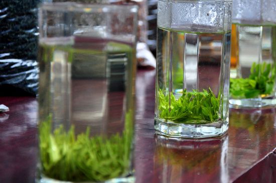 綠茶放了三年還能喝嗎，綠茶放久了喝了會怎樣