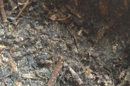 黑茶茯茶保存五大忌，茯茶收藏的注意事項