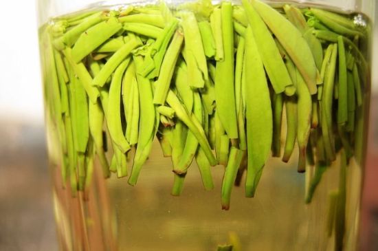 雀舌為何喝著是苦的，雀舌味道怎么那么苦澀？