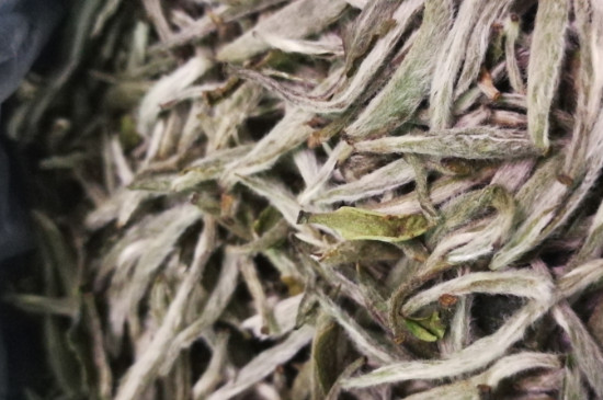 白毫銀針年份越久越好嗎，銀針白毫是否越陳越好